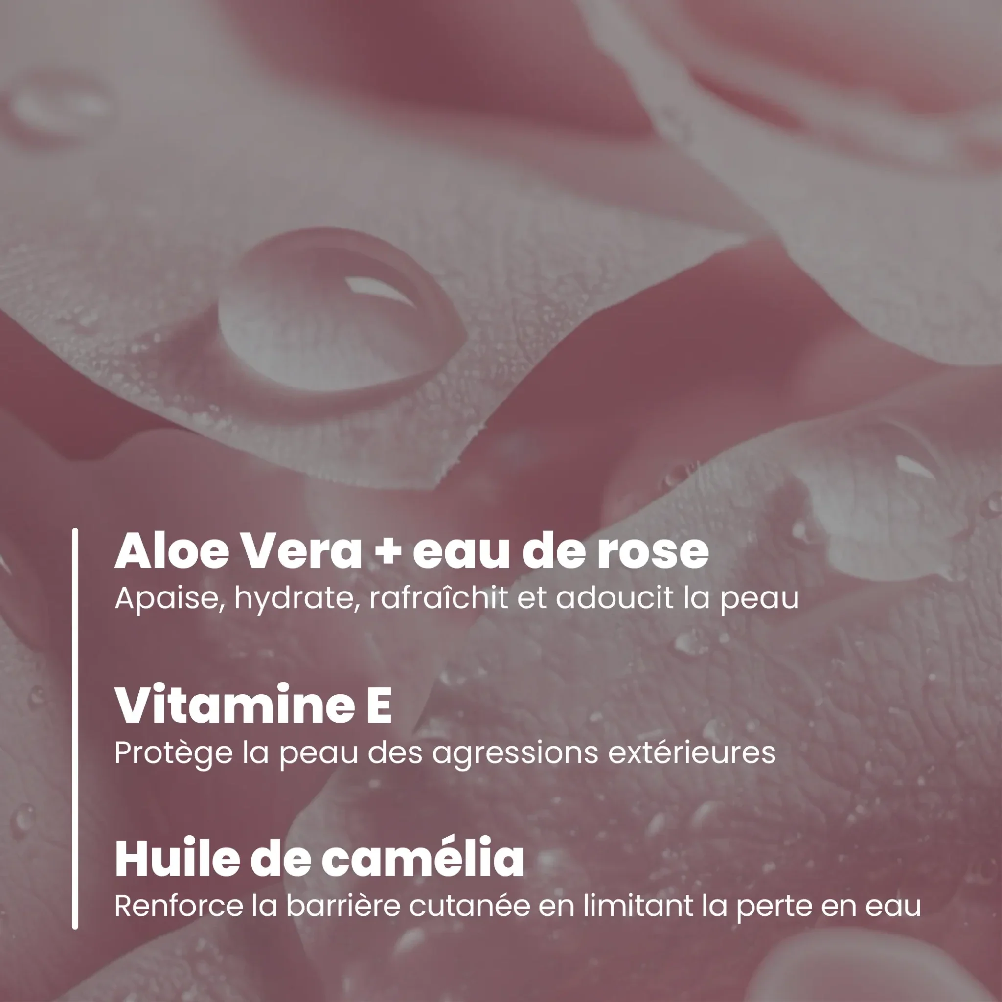 Crème nettoyante visage éclat bio - Image 5